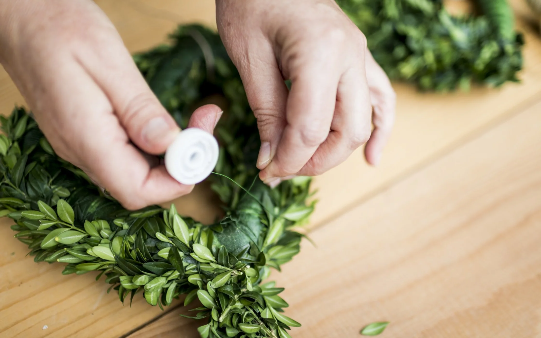 Bild 5_Buchsherz_SBO Basteln arminhuber_1600x1067.jpg